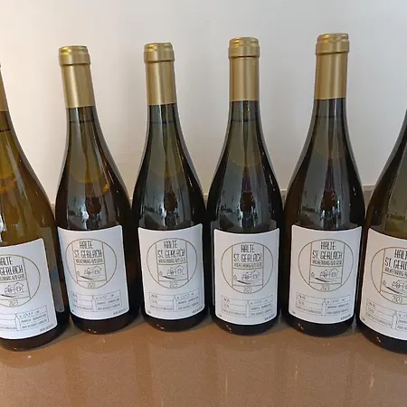 Halte Sint-gerlach * ファルケンブルフ