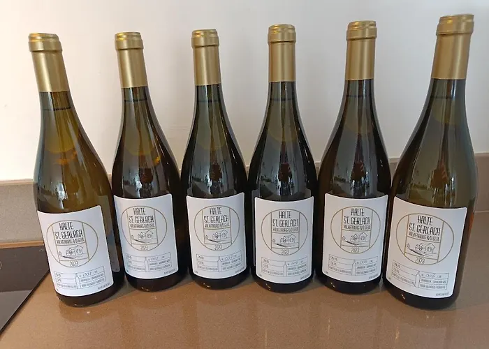 Halte Sint-gerlach * Valkenburg aan de Geul