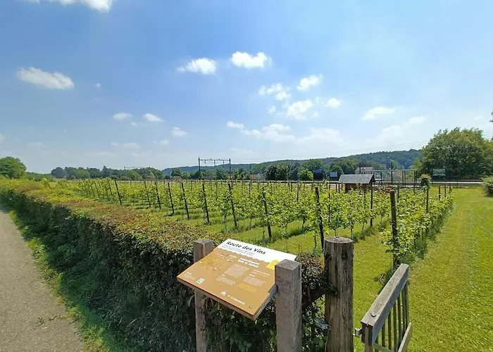 Halte Sint-gerlach Vakantiehuis Valkenburg aan de Geul