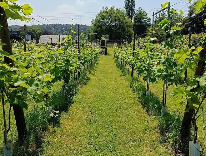 Halte Sint-Gerlach Holiday Home *